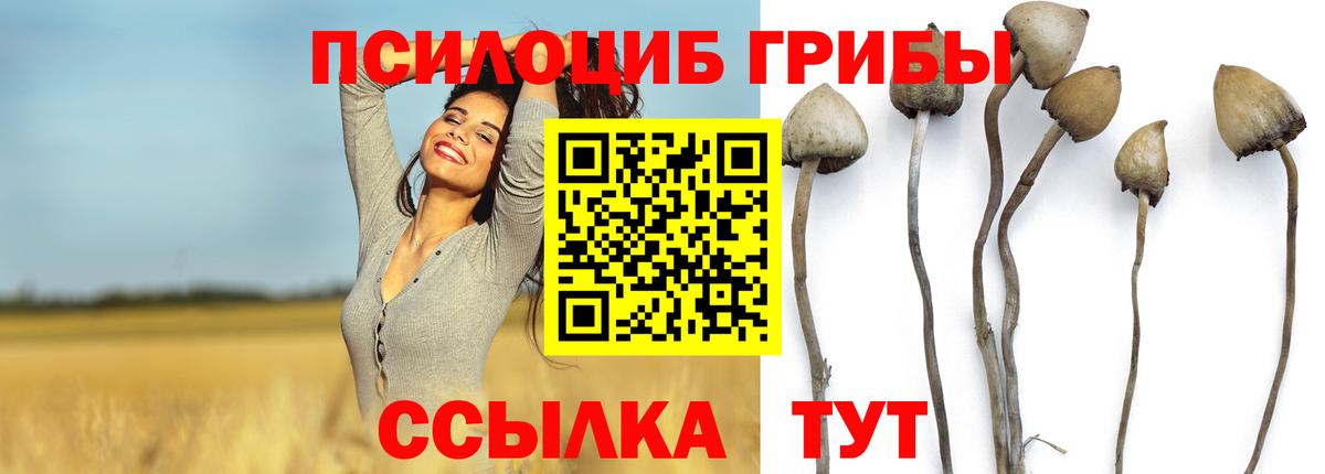 Псилоцибиновые грибы MAGIC MUSHROOMS  Вход с VPN  Октябрьский 